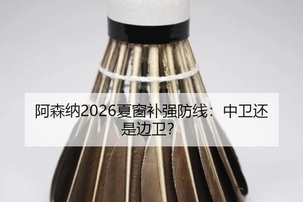 阿森纳2026夏窗补强防线：中卫还是边卫？
